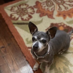 Meet your Posher, Stephany